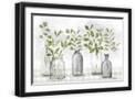 Black Frame