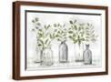 Brown Frame