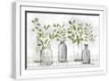 White Frame
