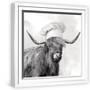 White Frame