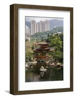 Nan Lian Garden, Hong Kong, China, Asia-Rolf Richardson-Framed Photographic Print