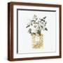 Brown Frame