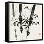 Canvas Black