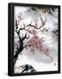 Essential Black
