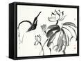 Canvas Black