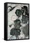 Canvas Black