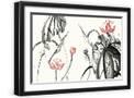 Black Frame