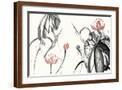 Brown Frame