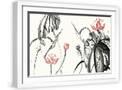 White Frame