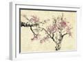 White Frame