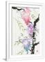 Gramercy White
