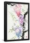 Essential Black