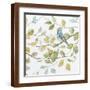 Brown Frame