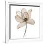 Gramercy White