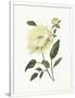 Gramercy White