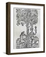 Nana Fruit, Tropical Medicinal Plant, Engraving from Universal Cosmology-Andre Thevet-Framed Giclee Print