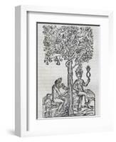 Nana Fruit, Tropical Medicinal Plant, Engraving from Universal Cosmology-Andre Thevet-Framed Giclee Print