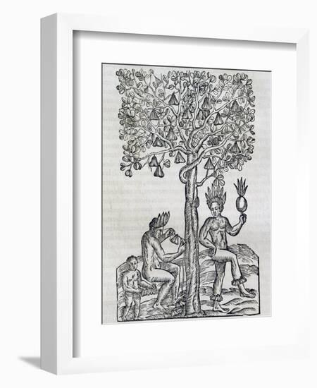 Nana Fruit, Tropical Medicinal Plant, Engraving from Universal Cosmology-Andre Thevet-Framed Giclee Print