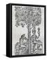 Nana Fruit, Tropical Medicinal Plant, Engraving from Universal Cosmology-Andre Thevet-Framed Stretched Canvas