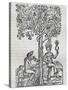 Nana Fruit, Tropical Medicinal Plant, Engraving from Universal Cosmology-Andre Thevet-Stretched Canvas