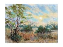 Texas Sunrise-Nancie King Mertz-Framed Art Print