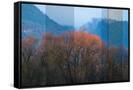 Canvas Black