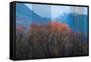 Canvas Black