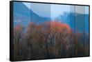 Canvas Black