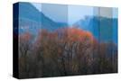 Stretched Canvas