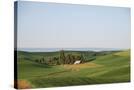 Stretched Canvas