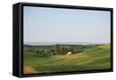 Canvas Black
