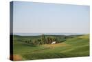 Stretched Canvas