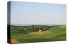 Stretched Canvas