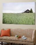 Farm in Italy-Nancy Crowell-Photographic Print