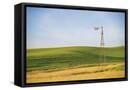 Canvas Black