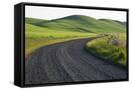 Canvas Black