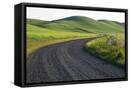 Canvas Black
