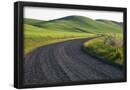 Essential Black
