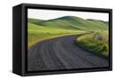 Canvas Black
