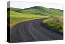 Stretched Canvas