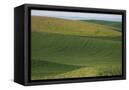 Canvas Black