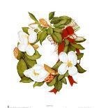 Magnolia Wreath-Nancy Kaestner-Framed Art Print