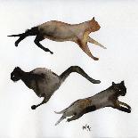 Run Cat Run, 2017,-Nancy Moniz Charalambous-Giclee Print
