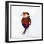 Black Frame