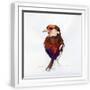 White Frame