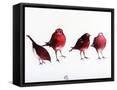 Framed Canvas