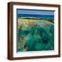 Brown Frame