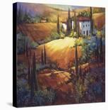 Evening Glow Tuscany-Nancy O'toole-Stretched Canvas