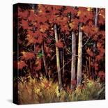 Color Splash I-Nancy O'toole-Stretched Canvas