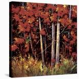 Hills of Tuscany-Nancy O'toole-Stretched Canvas